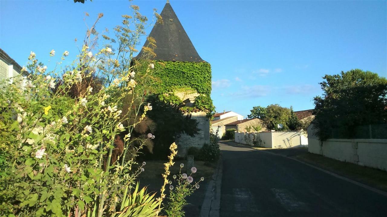 Les Gites Du Vigneron Et Cd'H Saint-Seurin-de-Palenne Bagian luar foto