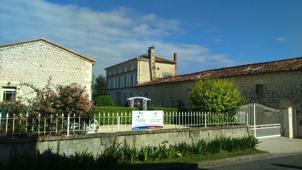 Les Gites Du Vigneron Et Cd'H Saint-Seurin-de-Palenne Bagian luar foto